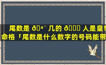 尾数是 🪴 几的 🐞 人是皇帝命格「尾数是什么数字的号码能带来好运」